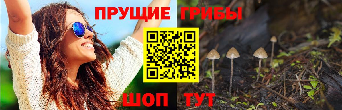 Галлюциногенные грибы Psilocybine cubensis  Псилоцибиновые грибы ЛСД  Шадринск  Вход с VPN 