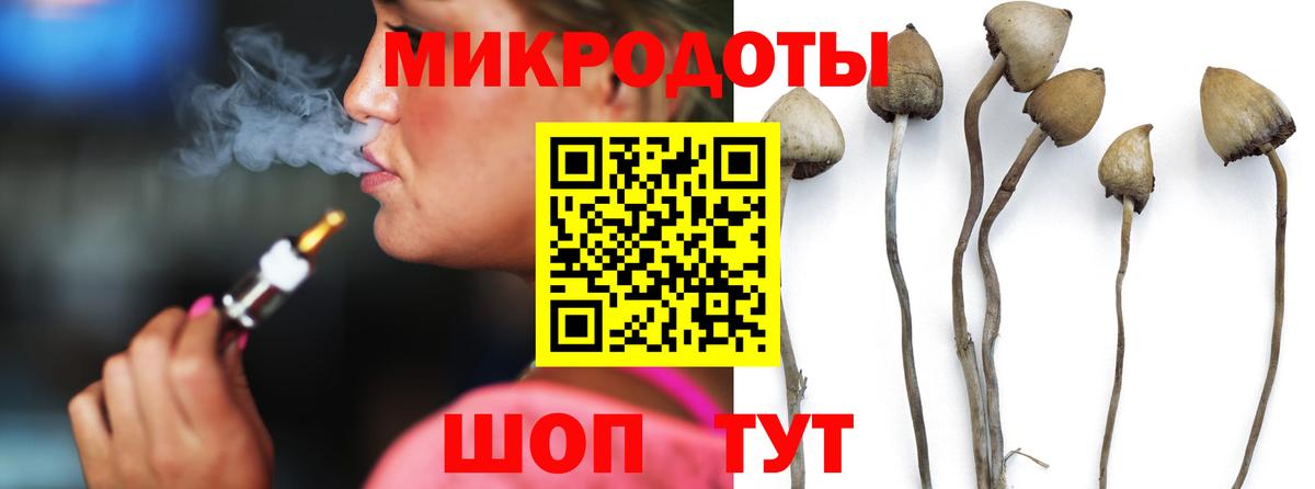Галлюциногенные грибы Cubensis Шадринск